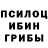 Галлюциногенные грибы Psilocybine cubensis hmongrich