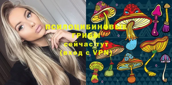 шишки Алексин