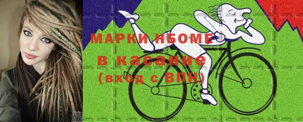 шишки Алексин