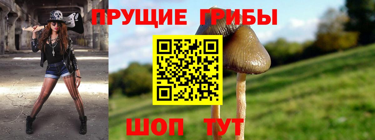 Феодосия  Галлюциногенные грибы Cubensis  Вход с VPN 